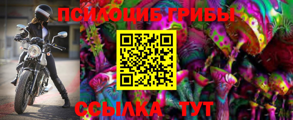 Ессентуки  Псилоцибиновые грибы Magic Shrooms  Вход с VPN 